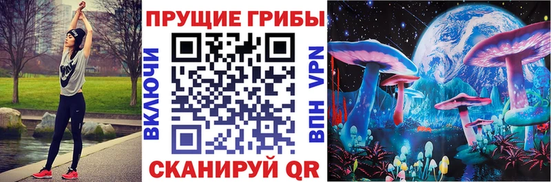 Псилоцибиновые грибы Psilocybine cubensis  Азнакаево 